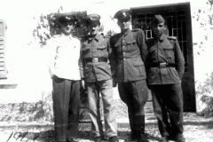 Vole Tolmin 1948